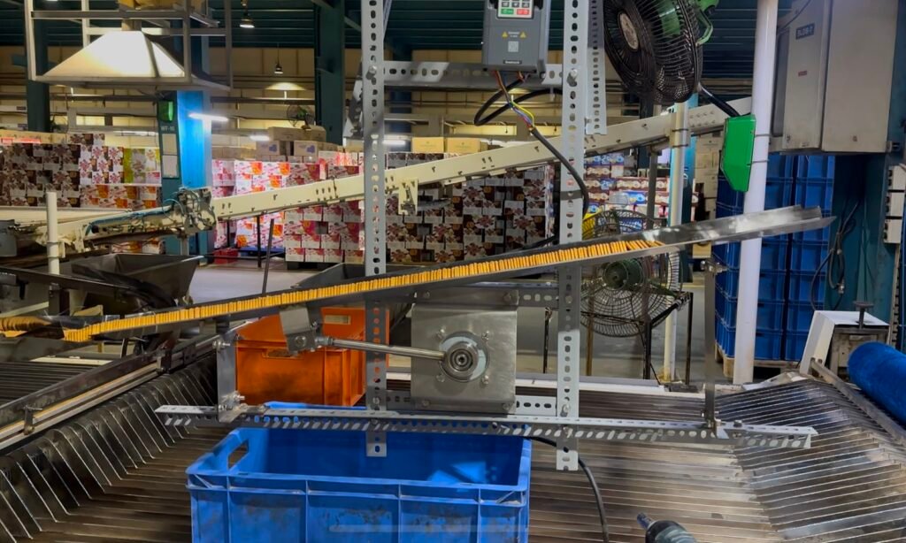 Vibrating biscuit feeder assembly installed and testing in factory